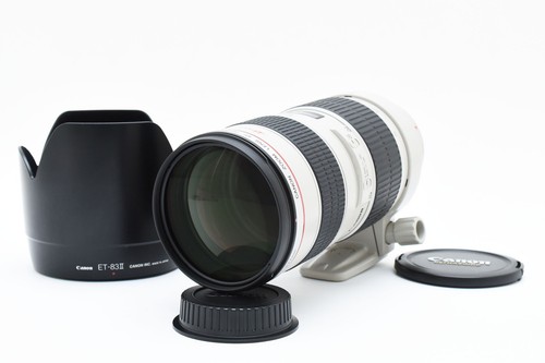 Top mint con cappuccio - cappuccio], canon