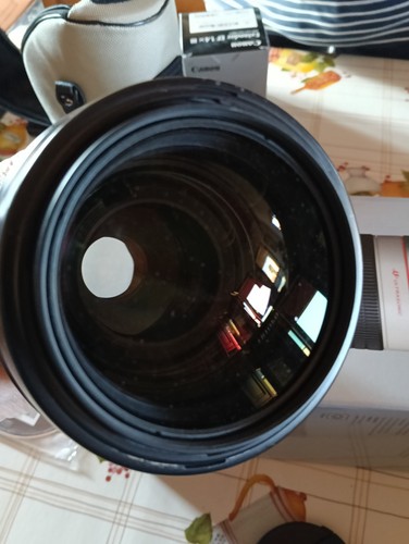Canon 200mm 2 8l - canon, usm
