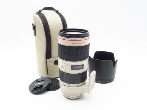 Canon zoom lens - lens, ef